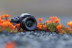 A camera is sitting on the ground surrounded by flowers photo