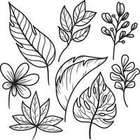 Doodle illustration of branches leaves in different plant, floral hand drawn line art style vector