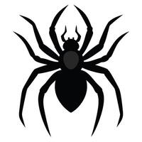 A black spider on a white background vector