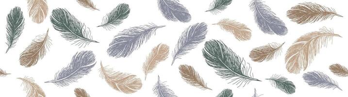 Feathers pattern on white background, Hand drawn sketch style. vector