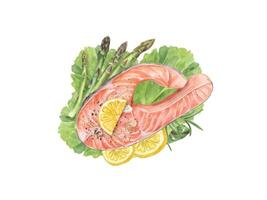 Steamed salmon steak with lemon slices, asparagus and greenery watercolor food illustration. Healthy meal with trout fish and rosemary, citrus slices, salad leaves for recipes, menu. Top view vector
