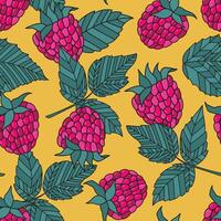 cute seamless pattern of hand-drawn raspberry berries. illustration on white background. vector