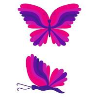 Butterfly with open wings and closed wings. illustration isolated on white background. vector