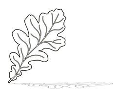 Oak leaf silhouette, shape outline vector