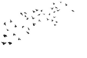 A swarm of birds flies above, silhouette sketch of a flock of birds vector