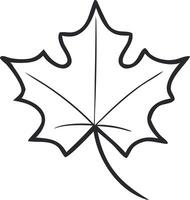 Simple, clean outline of a maple leaf isolated for kids to color vector