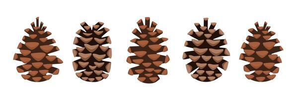Pine cone collection art. Set of pinecone. Pinecone clipart. Autumn pinecone. Autumn plants. Conifer cones. Evergreen cones. vector