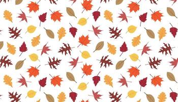 Pattern made up of seven different types of autumn leaves vector