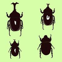 Four different beetles on a green background vector