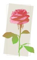 Stylized Pink Rose in a Rectangular Frame vector