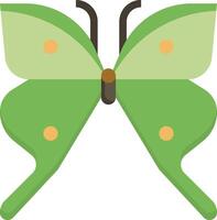A green butterfly with two wings vector