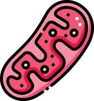 A pink bacterium with a small dot in the middle vector