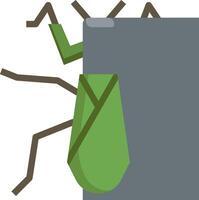 A green bug with a leaf on its back vector
