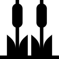 Two tulips in a row on a white background vector