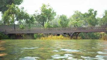 Peaceful afternoon view of a bridge over calm water surrounded by greenery video