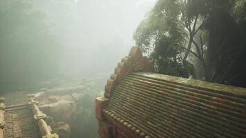 Ancient temple emerging from mist in the dense jungle of Vietnam video