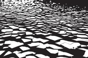 Monochrome abstract black texture overlay on white for background designs vector