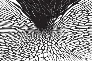 Abstract black and white texture overlay on a plain background vector