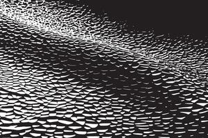 White background with black monochrome abstract texture vector