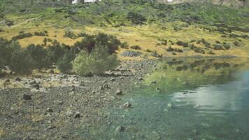 Serene lakeside landscape with clear waters and lush greenery at midday video