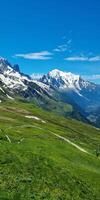 A green valley with a mountain range in the background photo