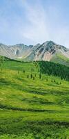 A mountain with a green field in front of it photo