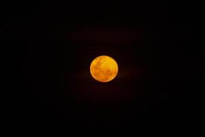 Oange full moon in the dark background. photo