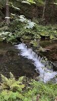 A small mountain river with a flow of water in the Polish mountains. Eastern Sudetes photo