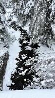 Jiezerskie Mountains in Poland. Low mountains covered with snow and forest. Landscape photo