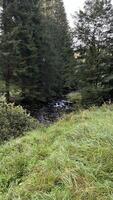A small mountain river with a flow of water in the Polish mountains. Eastern Sudetes photo