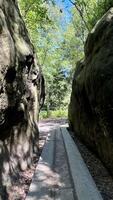 Hiking trail with wooden boardwalk and steps in Poland's Stolowe Mountains. Szczeliniec Wielki. photo