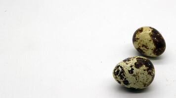 Quail eggs with nice patterns photo