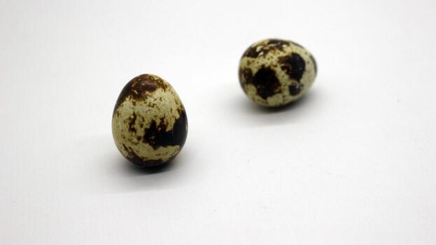 Quail eggs with nice patterns photo