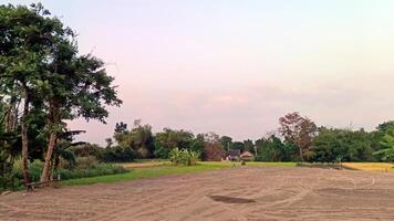 Field with sand and rice fields with trees photo