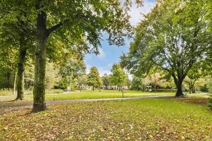 A park with trees and grass in the middle photo