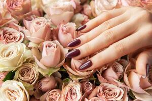 Elegant hand with dark maroon nails resting on a bed of soft pink and cream roses in a floral arrangement photo