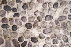 Close up of varied pebble stones embedded in concrete, creating a textured natural walkway surface photo