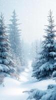 Winter-themed background with soft, snowy textures and a blank copy space for text photo