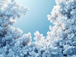 A simple winter background with snowflakes and soft tones. Includes ample copy space for text photo