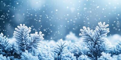 Winter-themed background with soft, snowy textures and a blank copy space for text photo