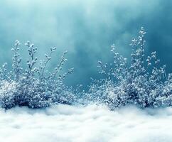 Winter-themed background with soft, snowy textures and a blank copy space for text photo