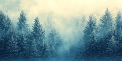 Winter-themed background with soft, snowy textures and a blank copy space for text photo