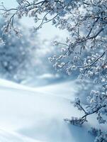 A simple winter background with snowflakes and soft tones. Includes ample copy space for text photo