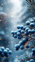 Winter-themed background with soft, snowy textures and a blank copy space for text photo