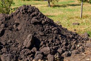 Landscaping. A pile of fertile soil for adding to lawns photo