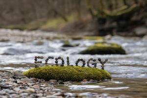 Letters forming 'Ecology' on moss-covered rock in a serene forest stream. photo