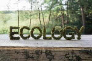 Moss-covered 'ECOLOGY' sign on wooden surface with forest background. photo