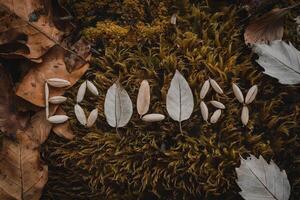 Leaves and seeds arranged to spell 'Ecology' on a mossy forest floor. photo