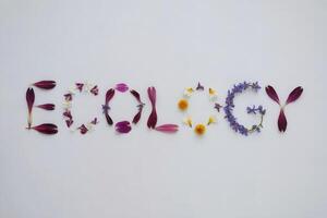 Ecology spelled out with vibrant flower petals on a white background. photo