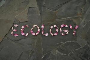 Ecology spelled with petal letters on dark textured stone background. photo